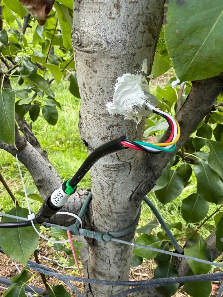 WhatsApp Image 2026-03-10 at 20.43.49.webp